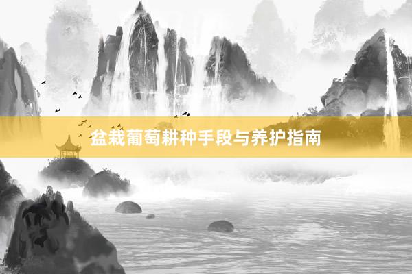 盆栽葡萄耕种手段与养护指南