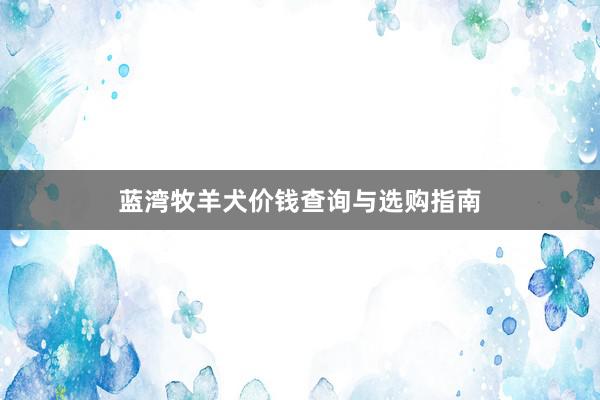 蓝湾牧羊犬价钱查询与选购指南