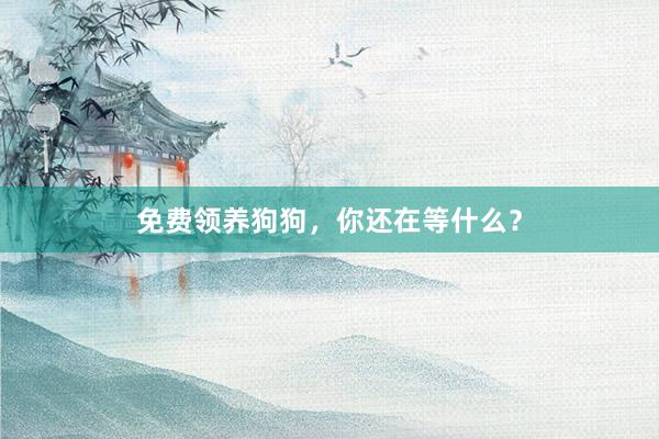 免费领养狗狗，你还在等什么？