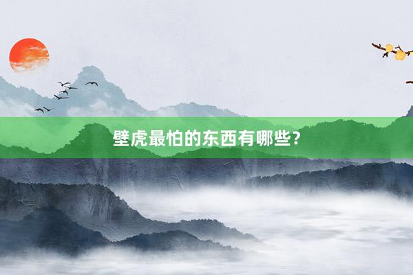 壁虎最怕的东西有哪些？